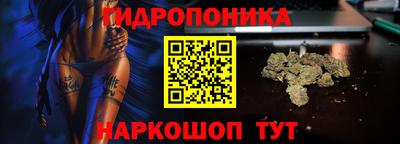 хмурый Владимир