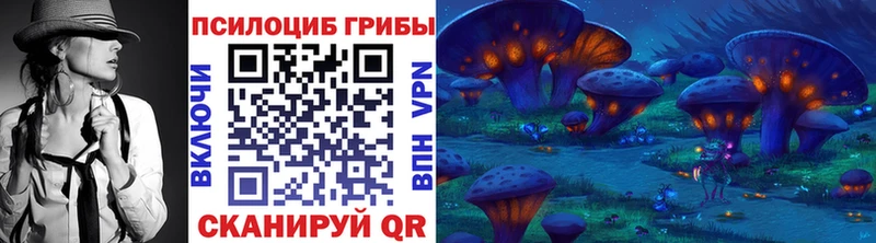 Галлюциногенные грибы Psilocybine cubensis Барнаул